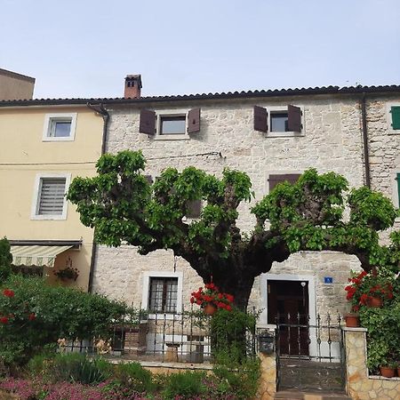 Villa Casa Girasole Buje Esterno foto