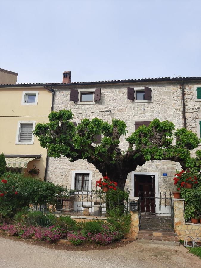 Villa Casa Girasole Buje Esterno foto