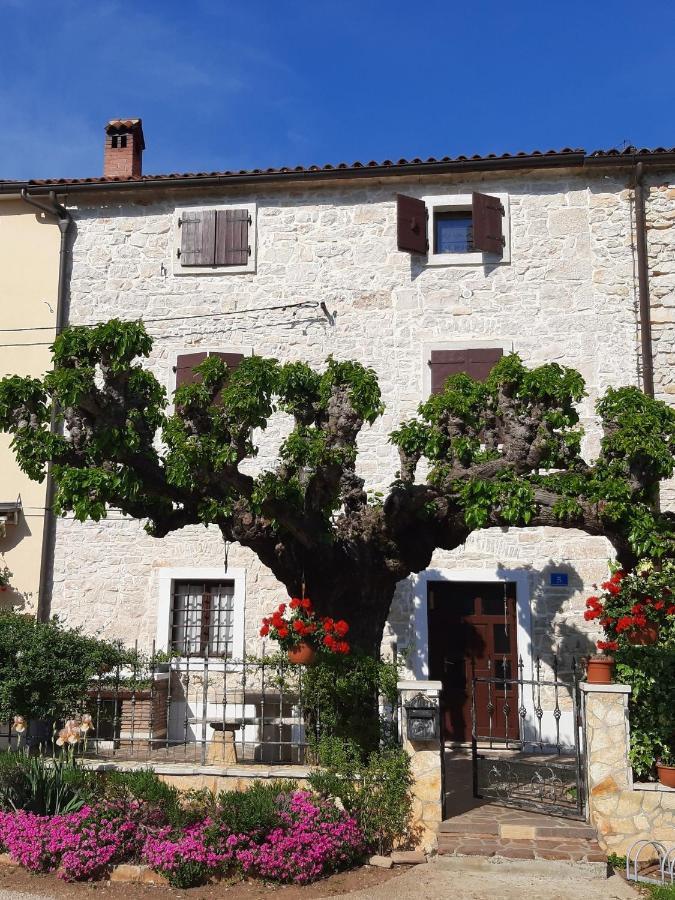 Villa Casa Girasole Buje Esterno foto