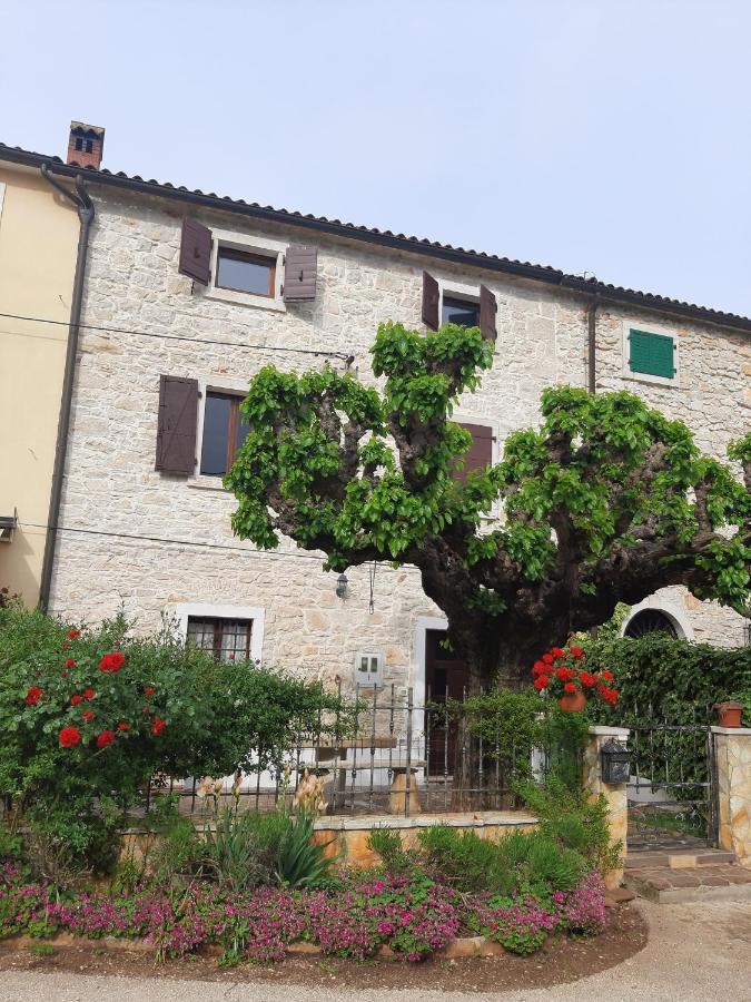 Villa Casa Girasole Buje Esterno foto